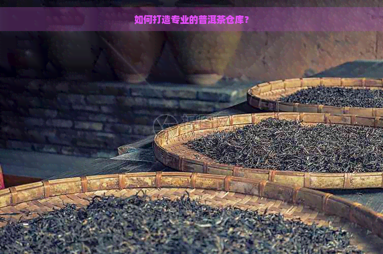 如何打造专业的普洱茶仓库？