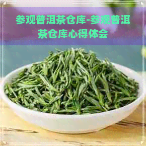 参观普洱茶仓库-参观普洱茶仓库心得体会