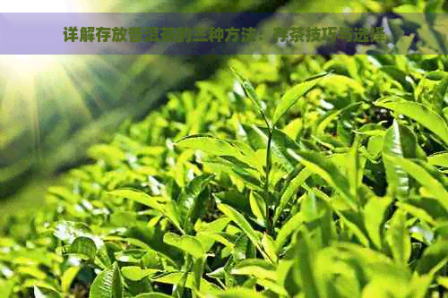 详解存放普洱茶的三种方法：存茶技巧与选择