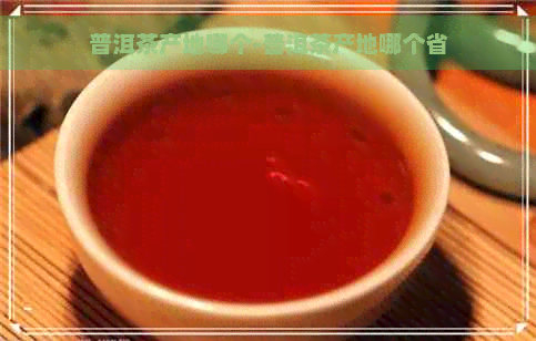 普洱茶产地哪个-普洱茶产地哪个省