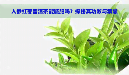 人参红枣普洱茶能减肥吗？探秘其功效与禁忌