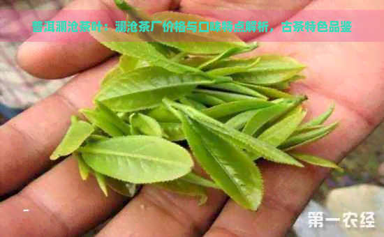 普洱澜沧茶叶：澜沧茶厂价格与口味特点解析，古茶特色品鉴