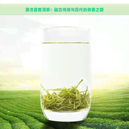 澜沧县普洱茶：融合传统与现代的茶香之路