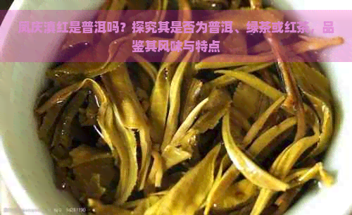 凤庆滇红是普洱吗？探究其是否为普洱、绿茶或红茶，品鉴其风味与特点