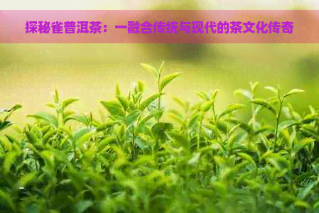 探秘雀普洱茶：一融合传统与现代的茶文化传奇