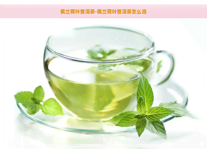 佩兰荷叶普洱茶-佩兰荷叶普洱茶怎么泡