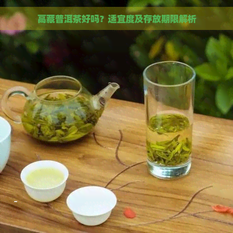 高藏普洱茶好吗？适宜度及存放期限解析