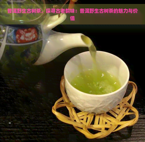 普洱野生古树茶，探寻古老韵味：普洱野生古树茶的魅力与价值