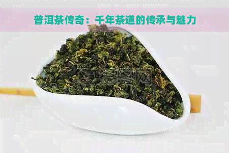 普洱茶传奇：千年茶道的传承与魅力