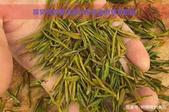 探究传世普洱茶价格波动的背后因素