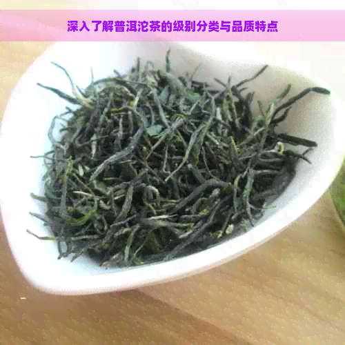 深入了解普洱沱茶的级别分类与品质特点