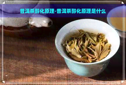 普洱茶醇化原理-普洱茶醇化原理是什么