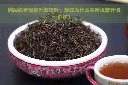 购买藏普洱茶升值快吗：现在为什么藏普洱茶升值迅速？