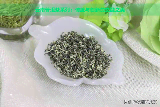 云南普洱茶系列：传统与创新的交融之美