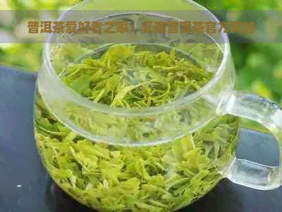 普洱茶爱好者之家：云南普洱茶官方网站