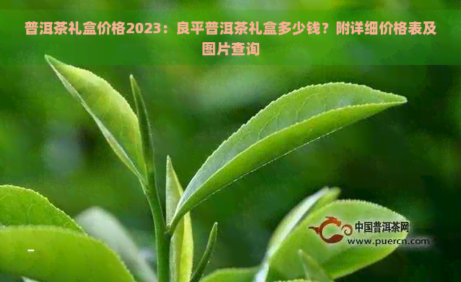 普洱茶礼盒价格2023：良平普洱茶礼盒多少钱？附详细价格表及图片查询