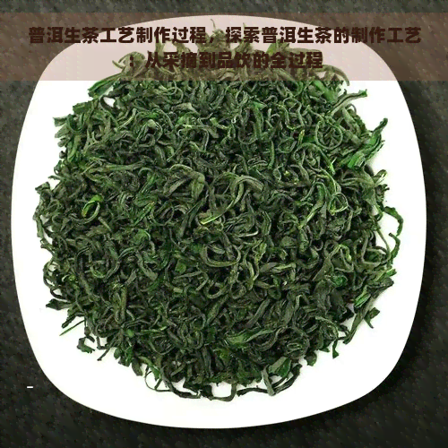 普洱生茶工艺制作过程，探索普洱生茶的制作工艺：从采摘到品饮的全过程