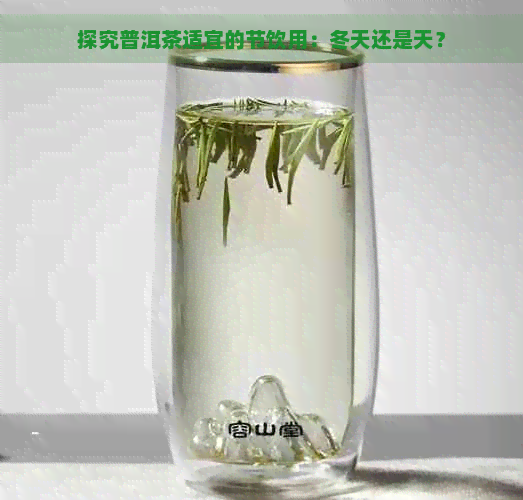 探究普洱茶适宜的节饮用：冬天还是天？