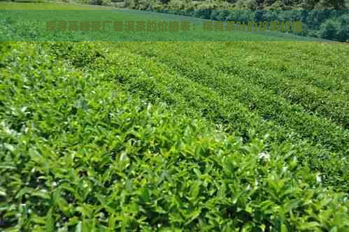 探寻高峰茶厂普洱茶的价格表：稀有茶叶的珍贵价值