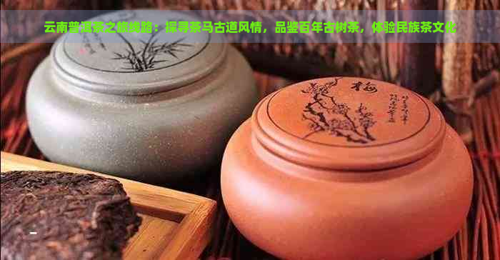 云南普洱茶之旅线路：探寻茶马古道风情，品鉴百年古树茶，体验民族茶文化