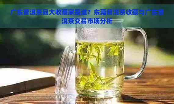 广东普洱茶更大收藏家是谁？东莞普洱茶收藏与广东普洱茶交易市场分析