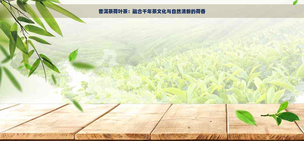 普洱茶荷叶茶：融合千年茶文化与自然清新的荷香