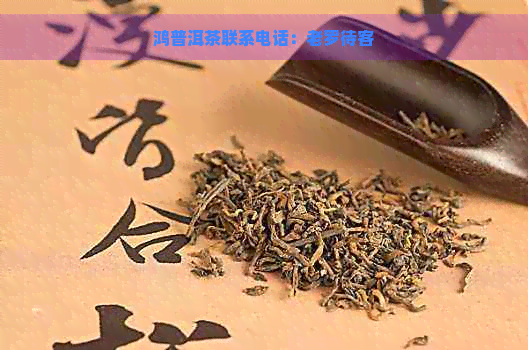 鸿普洱茶联系电话：老罗待客