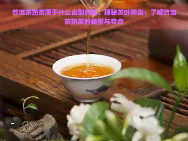 普洱茶熟茶属于什么类型的茶，揭秘茶叶种类：了解普洱茶熟茶的类型与特点