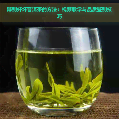 辨别好坏普洱茶的方法：视频教学与品质鉴别技巧