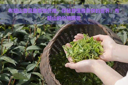 布朗山普洱熟茶饼价格，探秘普洱熟茶饼的世界：布朗山的价格解析