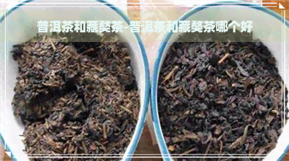 普洱茶和藏獒茶-普洱茶和藏獒茶哪个好