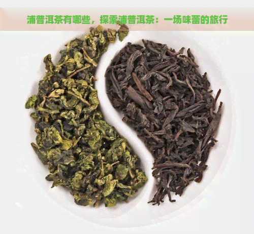 浦普洱茶有哪些，探索浦普洱茶：一场味蕾的旅行