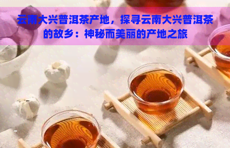 云南大兴普洱茶产地，探寻云南大兴普洱茶的故乡：神秘而美丽的产地之旅