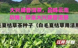 大兴牌普洱茶，品味云南风情：探索大兴牌普洱茶的魅力