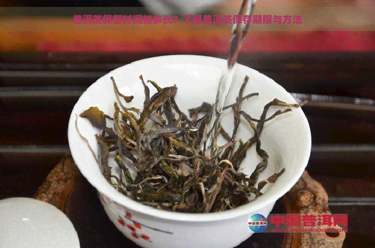 普洱茶保管时间能多长？了解普洱茶保存期限与方法