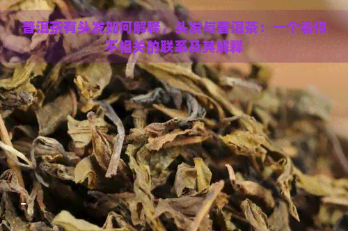 普洱茶有头发如何解释，头发与普洱茶：一个看似不相关的联系及其解释