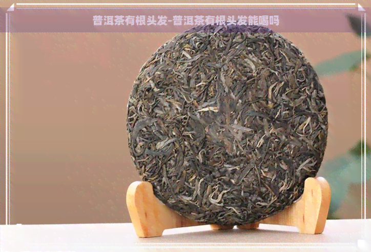 普洱茶有根头发-普洱茶有根头发能喝吗