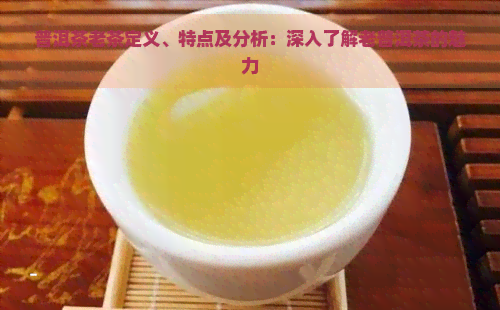 普洱茶老茶定义、特点及分析：深入了解老普洱茶的魅力