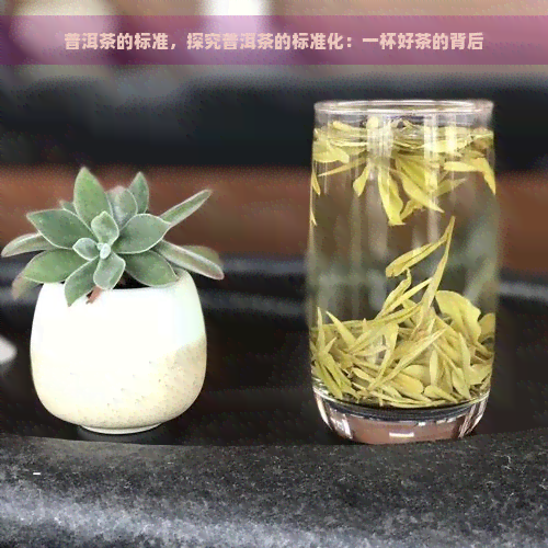 普洱茶的标准，探究普洱茶的标准化：一杯好茶的背后