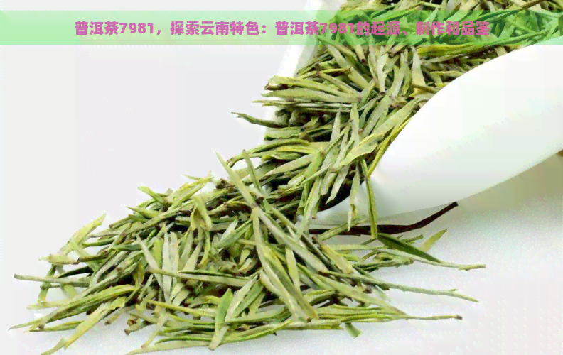 普洱茶7981，探索云南特色：普洱茶7981的起源、制作和品鉴