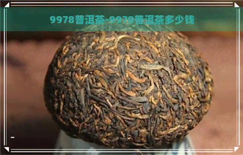 9978普洱茶-9978普洱茶多少钱