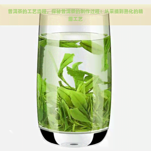 普洱茶的工艺流程，探秘普洱茶的制作过程：从采摘到熟化的精细工艺