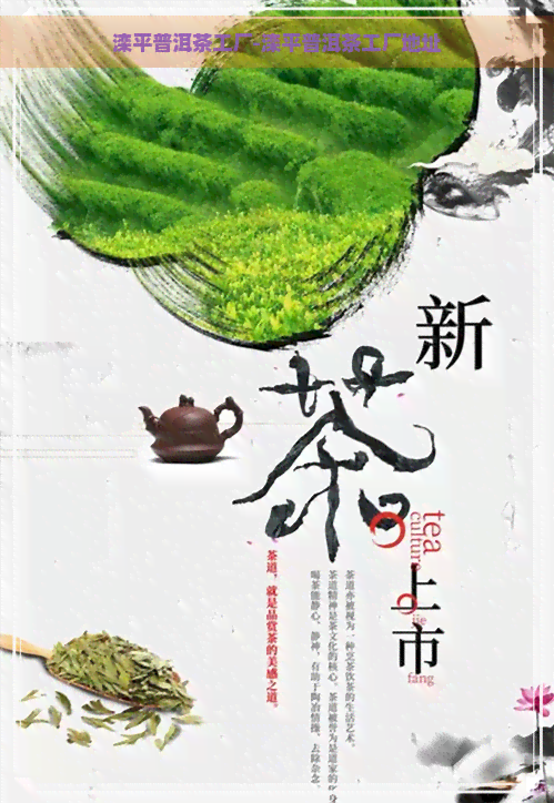 滦平普洱茶工厂-滦平普洱茶工厂地址