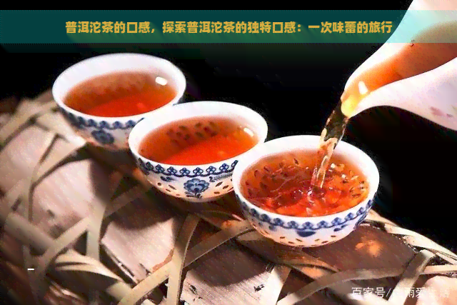 普洱沱茶的口感，探索普洱沱茶的独特口感：一次味蕾的旅行