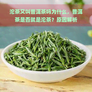 沱茶又叫普洱茶吗为什么，普洱茶是否就是沱茶？原因解析