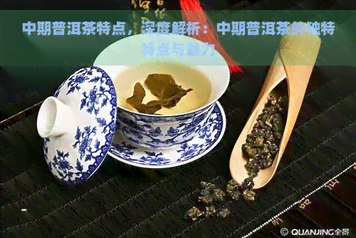 中期普洱茶特点，深度解析：中期普洱茶的独特特点与魅力