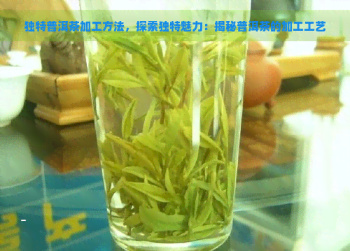 独特普洱茶加工方法，探索独特魅力：揭秘普洱茶的加工工艺