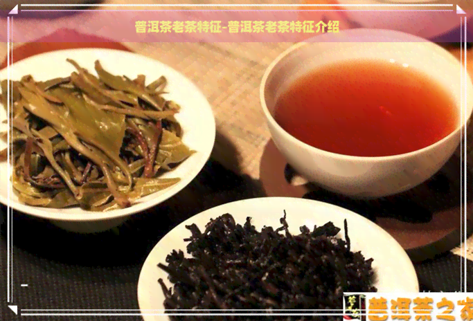 普洱茶老茶特征-普洱茶老茶特征介绍