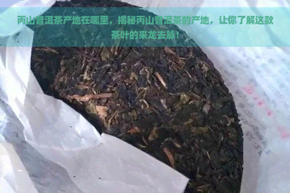 丙山普洱茶产地在哪里，揭秘丙山普洱茶的产地，让你了解这款茶叶的来龙去脉！