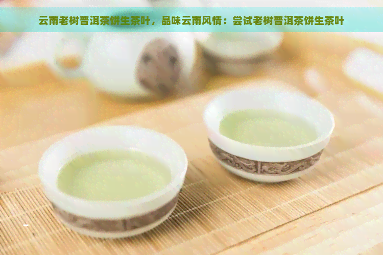 云南老树普洱茶饼生茶叶，品味云南风情：尝试老树普洱茶饼生茶叶